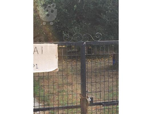 Πώληση οικοπέδου στον Κάτω Αλισσό Αχαίας