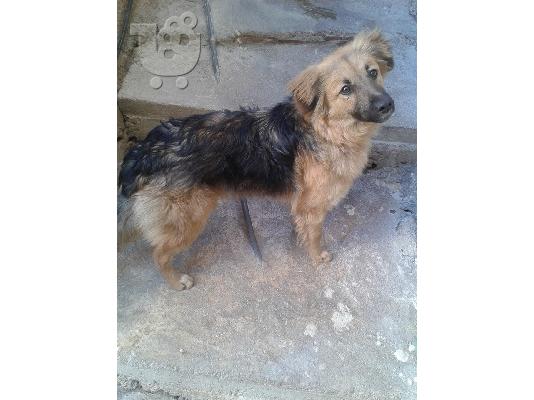 Η Λάρα χαριζεται