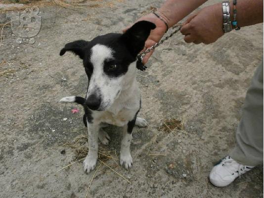 Η Σισσυ χαριζεται