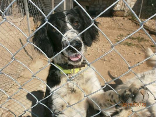 PoulaTo: Ξανα χαριζεται η Ζεμμα