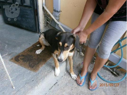 PoulaTo: Η Ναομι χαριζεται