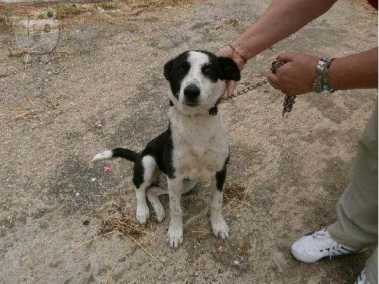 Η Σισσυ χαριζεται