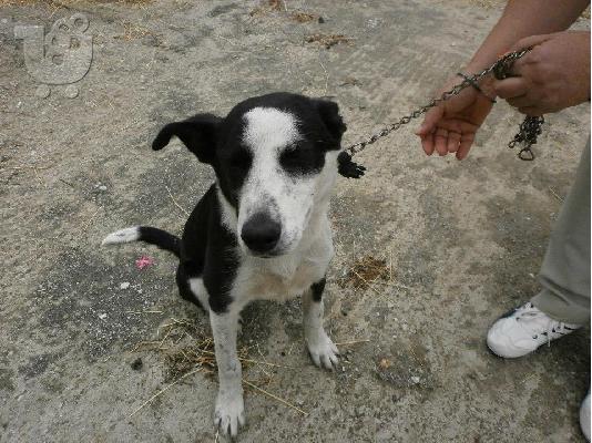 Η Σισσυ χαριζεται