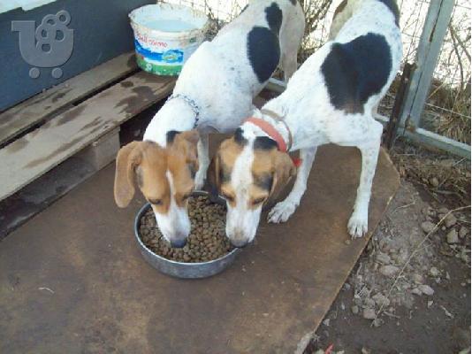 Μηνας και Φριντα σετακι