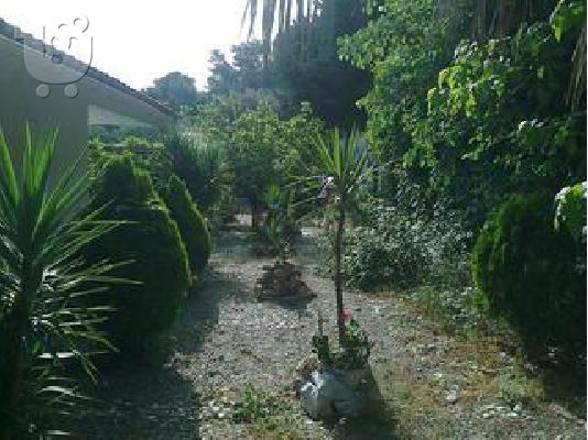 Εξοχική Κατοικία Αγιοι Απόστολοι