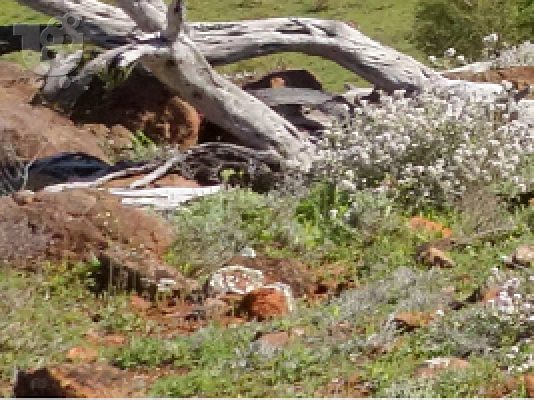 ΔΙΑΦΗΜΙΣΤΙΚΑ ΕΝΤΥΠΑ ΧΟΝΔΡΙΚΗ 6955636140 Διαφημιστικά Φυλλάδια Τιμές Χονδρικής ΜΟΝΟΦΥΛΛΑ ΕΝ...