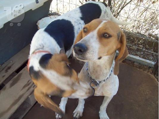 Μηνας και Φριντα σετακι