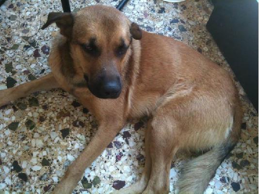 Μεγαλοσωμος κουκλος χαριζεται