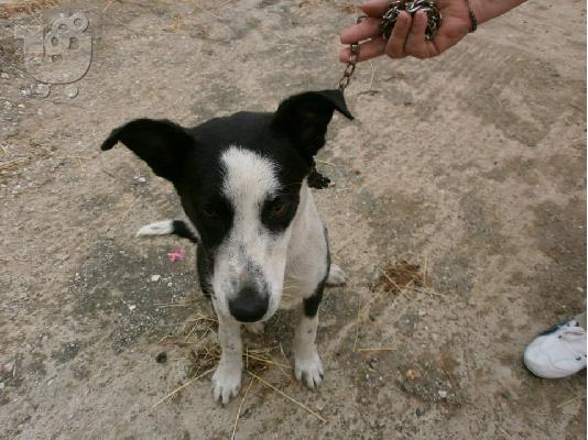Η Σισσυ χαριζεται