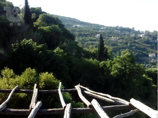 PoulaTo: Μακρινιτσα πηλιο