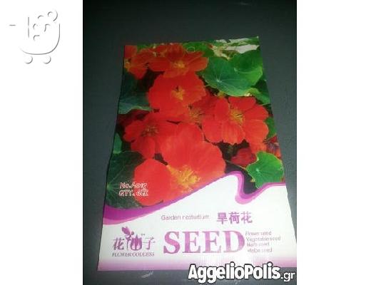 6 σποροι Garden Nasturtium