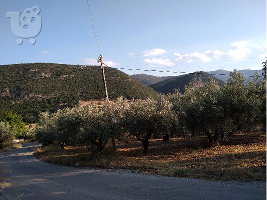 ΠΩΛΕΙΤΑΙ ΑΓΡΟΤΕΜΑΧΙΟ