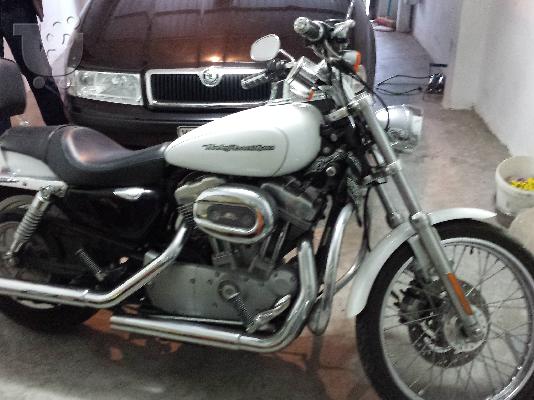 HARLEY DAVIDSON XL 883 C Sportster; 883 Customer 