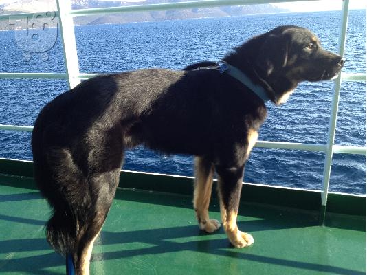 PoulaTo: ΕΠΕΙΓΟΝ - Η ΥΙΟΘΕΣΙΑ ΤΟΥ ΤΑΚΗ