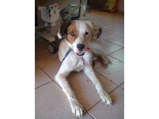 Ο κουκλος Μαρκος χαριζεται