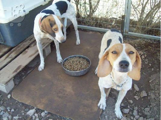 Μηνας και Φριντα σετακι