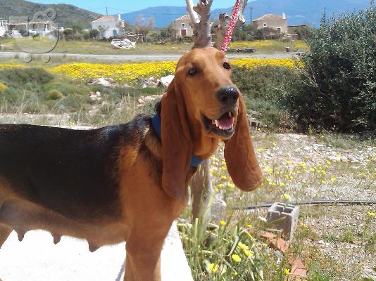 ΓΙΟΥΡΑ ΜΠΡΟΥΝΟ