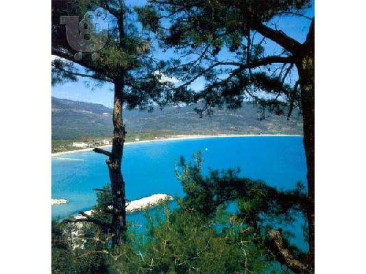 ΘΑΣΟΣ ΧΡΥΣΗ ΑΚΤΗ