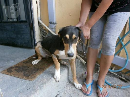 Η Ναομι χαριζεται