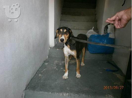 PoulaTo: Η Ναομι χαριζεται