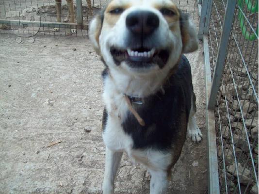 Η Βιρνα χαριζεται