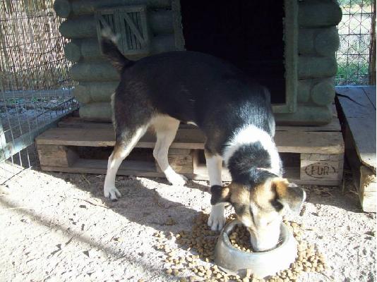 Η Βιρνα χαριζεται