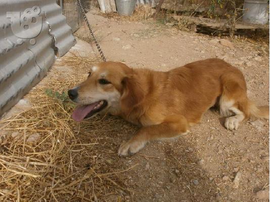 H μικροσωμη Σιμον χαριζεται