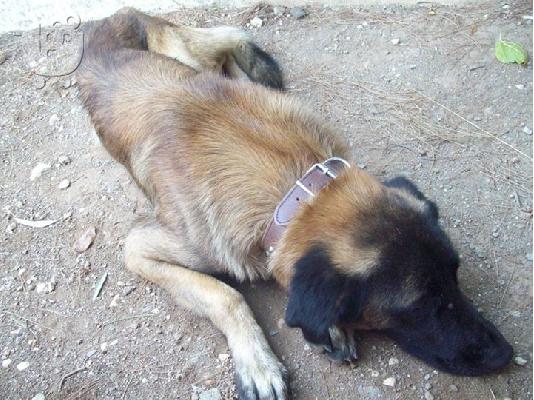 Ο Παρης ψαχνει οικογενεια