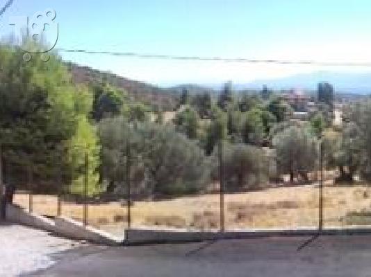 ΑΓΡΟΤΕΜΆΧΙΟ ΕΥΚΑΙΡΊΑ ΑΠΌ ΙΔΙΏΤΗ