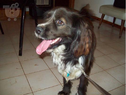 Κοκωνι χαριζεται