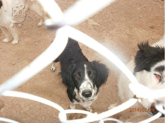 Ξανα χαριζεται η Ζεμμα