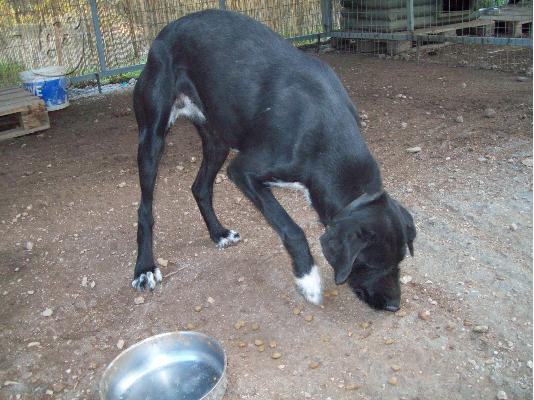 PoulaTo: Η Ιρμα χαριζεται