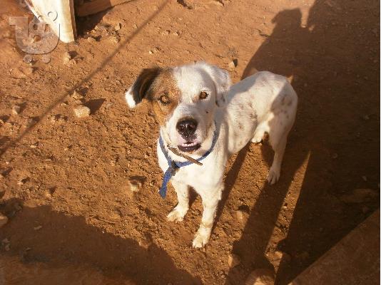 PoulaTo: Ο κουκλος Μαρκος χαριζεται