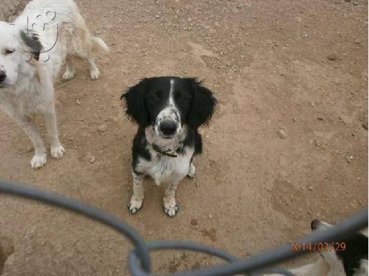 Ξανα χαριζεται η Ζεμμα