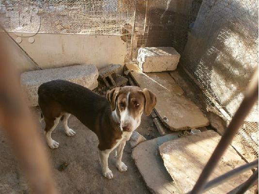 Η Μελενια χαριζεται