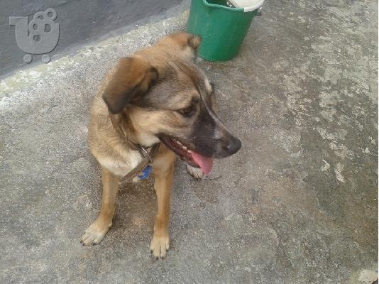 Η Λιζα ψαχνει σπιτι