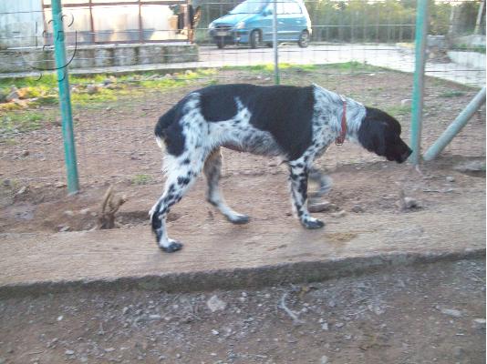 PoulaTo: Ποιντερ χαριζεται