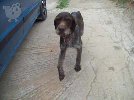 Η κουκλιτσα Νικη χαριζεται