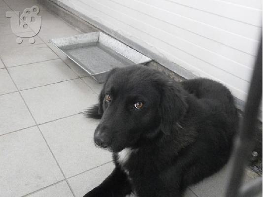 PoulaTo: Ο Τζακ ψαχνει 2η ευκαιρια