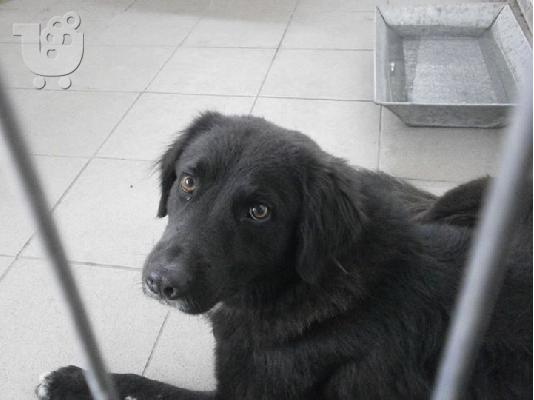 Ο Τζακ ψαχνει 2η ευκαιρια