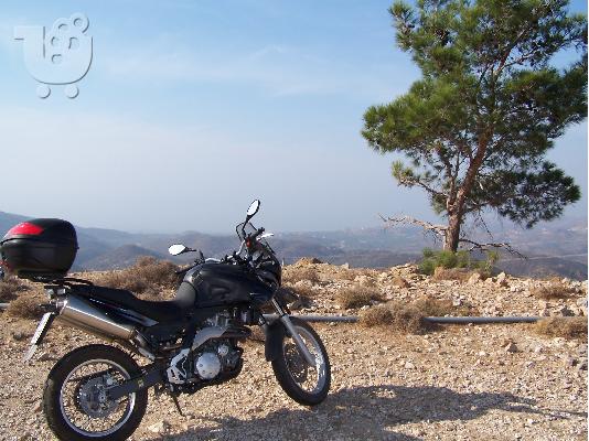 APRILIA Pegaso Trail 