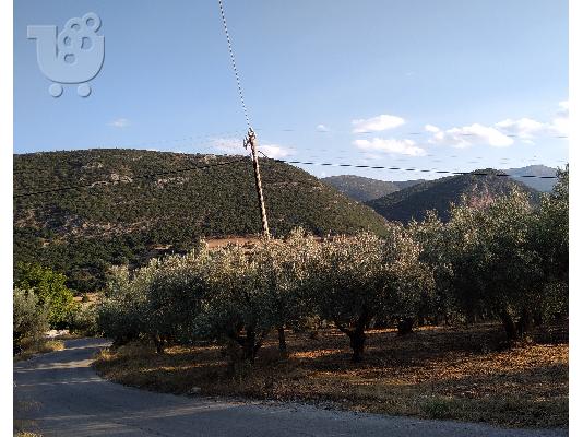 PoulaTo: ΠΩΛΕΙΤΑΙ ΑΓΡΟΤΕΜΑΧΙΟ