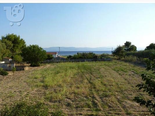 Μονοκατοικια στη Θαλασσα σε 4,5 στρεμ οικοπεδο ευβοια...