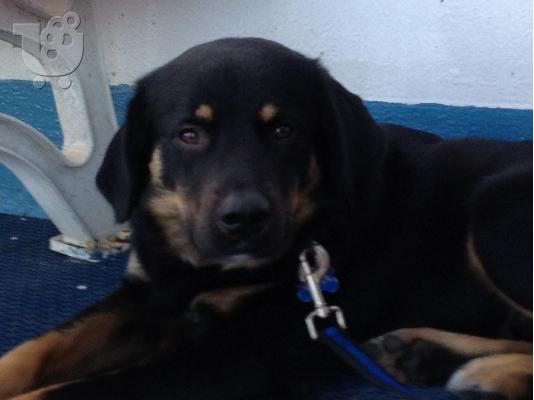 ΕΠΕΙΓΟΝ - Η ΥΙΟΘΕΣΙΑ ΤΟΥ ΤΑΚΗ