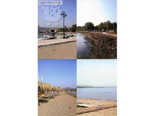 Οικοπεδο στη Σκαλα Αταλαντης σε τιμή ευκαιρίας