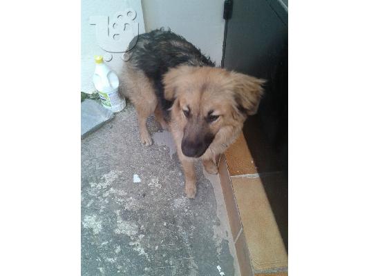 Η Λάρα χαριζεται