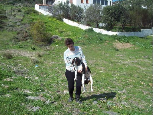 Η Βαλια ψαχνει οικογενεια