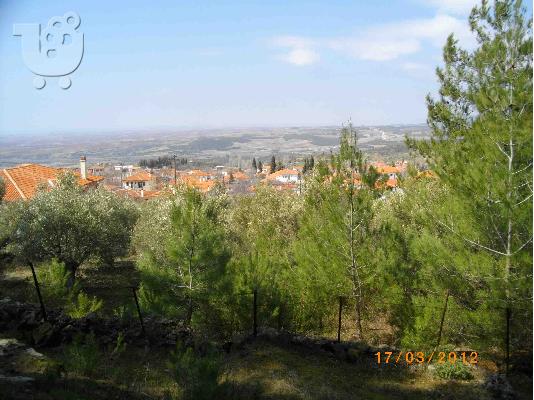 Πωλείται οικόπεδο 3500τμ, Μαρώνεια