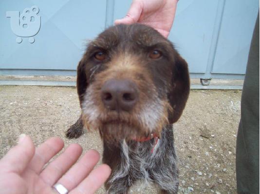 Η κουκλιτσα Νικη χαριζεται