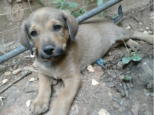 έλα απο κοντα να με δεις και αμεσως θα με ερωτευτεις!...